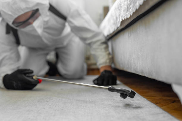 Professional Bed Bug Control technician working in Shadyside, OH