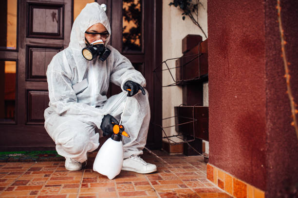 Reliable Bed Bug Control contractor in Shadyside, OH by Nex Pest Control