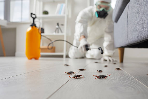 Trusted Emergency Pest Control service in Shadyside, OH - Nex Pest Control